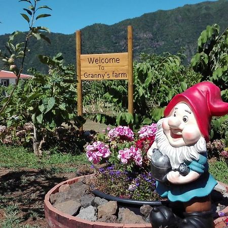 Granny'S Farm Pensionat São Vicente Eksteriør billede