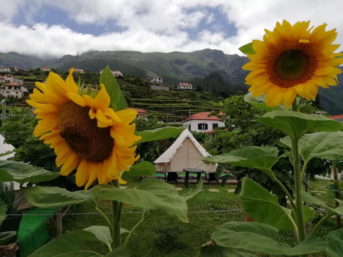 Granny'S Farm Pensionat São Vicente Eksteriør billede