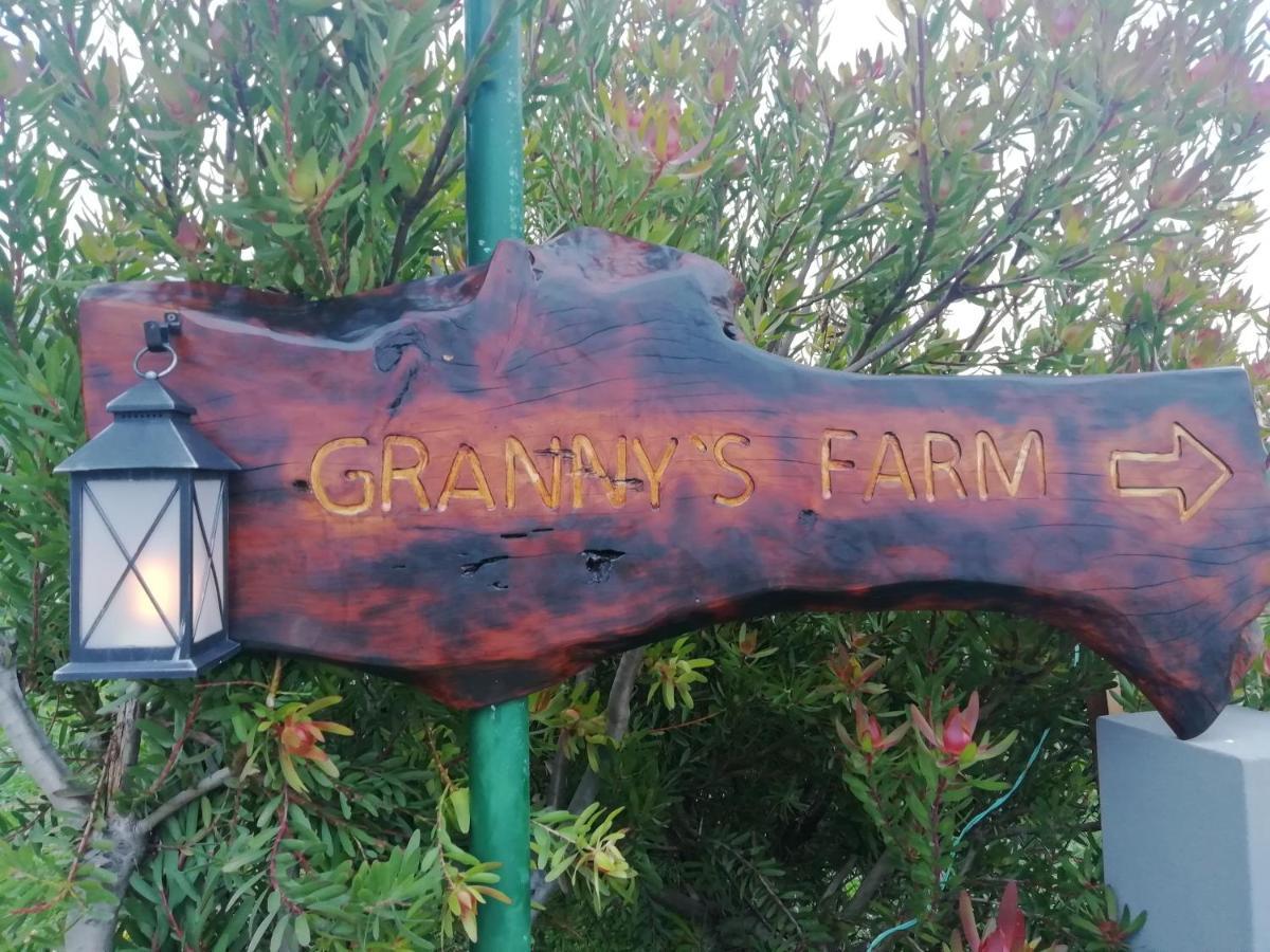 Granny'S Farm Pensionat São Vicente Eksteriør billede