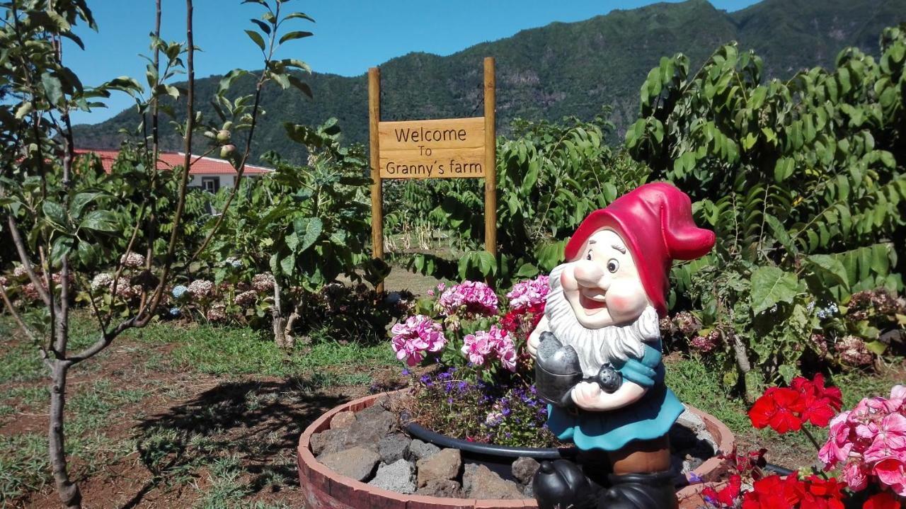 Granny'S Farm Pensionat São Vicente Eksteriør billede