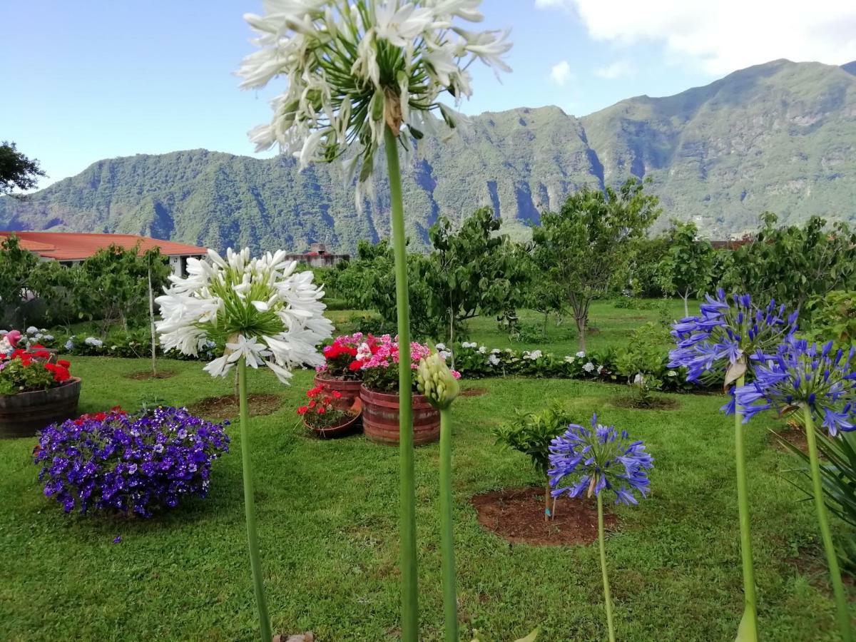 Granny'S Farm Pensionat São Vicente Eksteriør billede