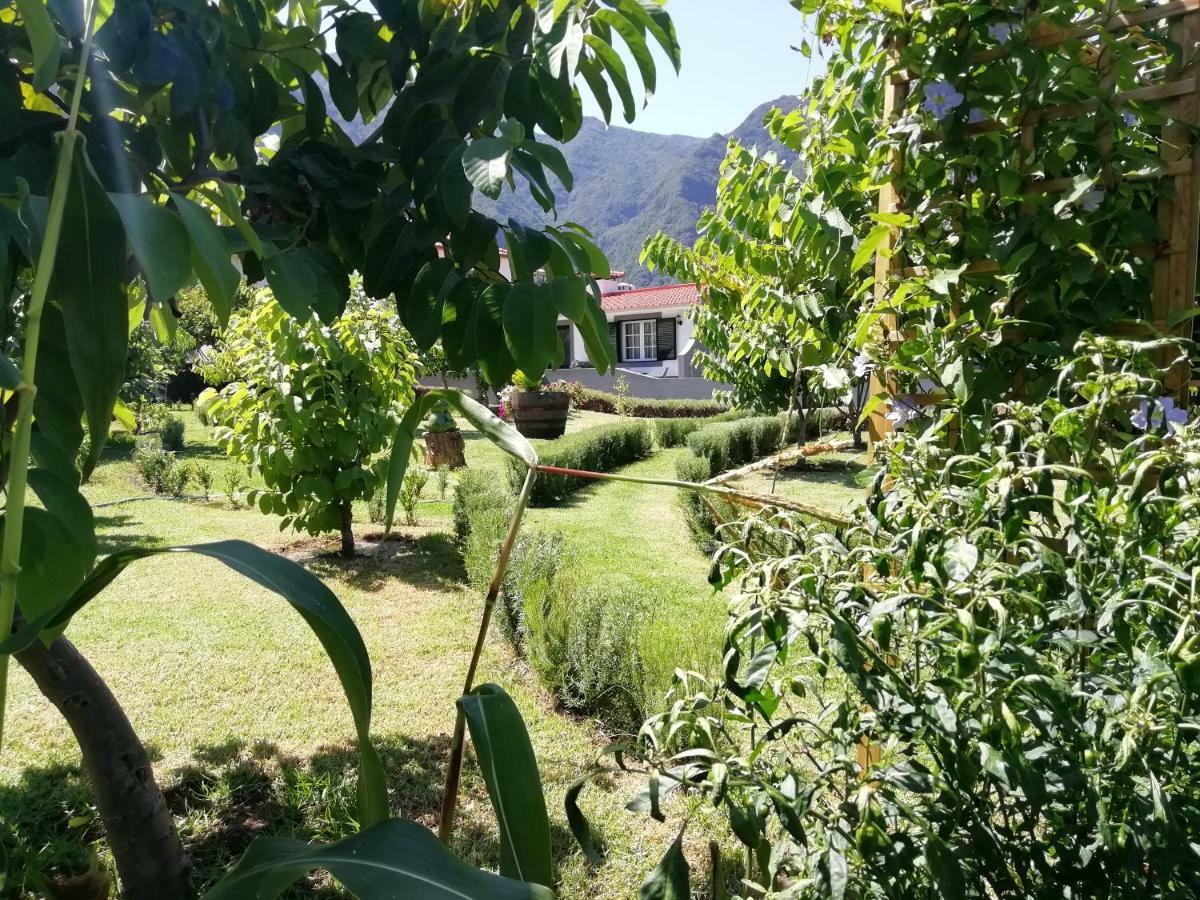 Granny'S Farm Pensionat São Vicente Eksteriør billede
