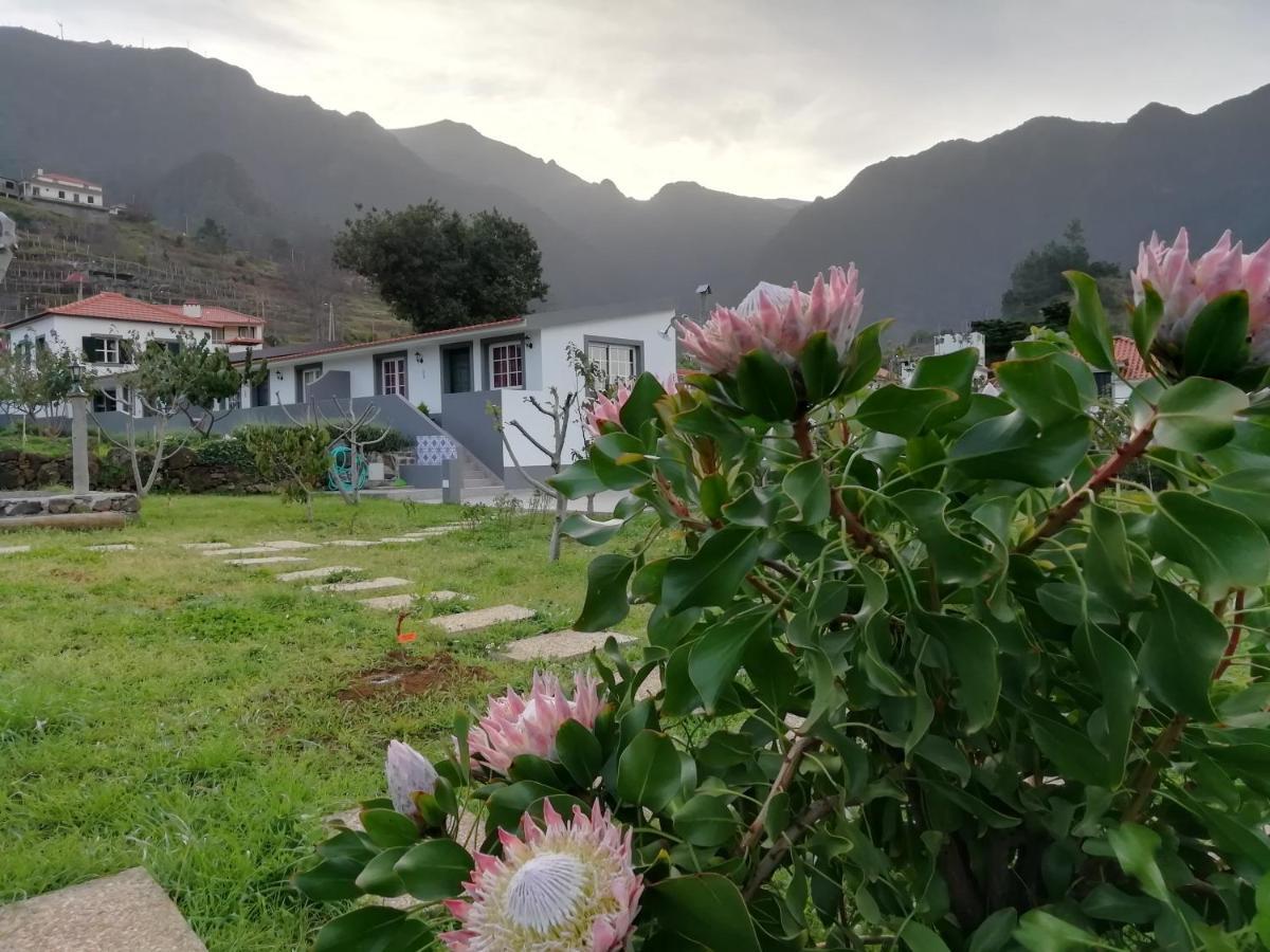 Granny'S Farm Pensionat São Vicente Eksteriør billede